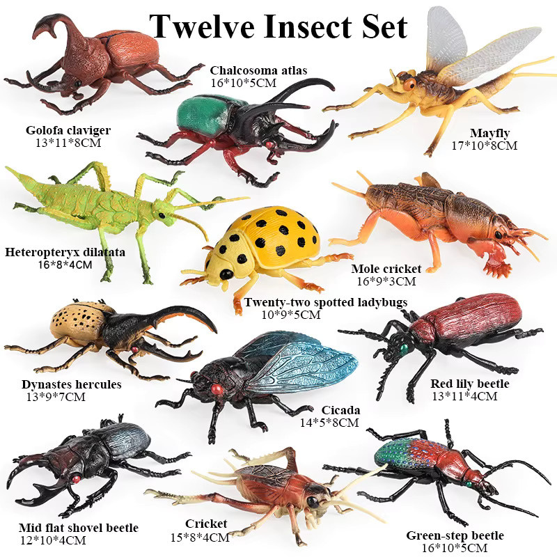 Oenux Simulations-Insekten- und Tier-Hohlmodell, Figuren, Kunststoff, Bunt / Mehrfarbig - Bild 4