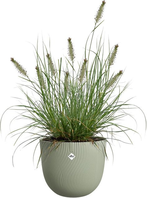 Elho Blumentopf Sereh in Grün, Durchmesser: 30 cm, Höhe: 25 cm - Bild 1