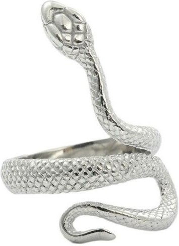 FOXANRY Jewelry Schlangenring Edelstahl, Gold, Unisex, Punk - Bild 1