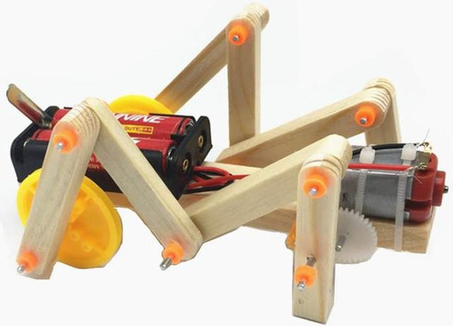 Fashnics DIY Mechanischer Insektenkrabbler Physik Lernspielzeug aus Holz - Bild 1
