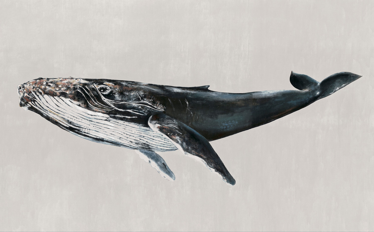 Coordonné Wandbehang Humpback Whale in Grau mit maritimen Wal-Motiven aus Textil - Bild 1