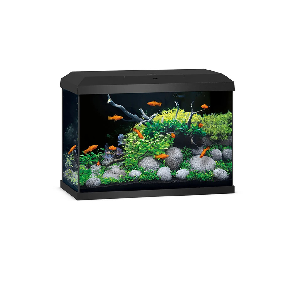 Juwel Aquarium-Set Primo 70 LED 2.0 in Schwarz - Bild 2