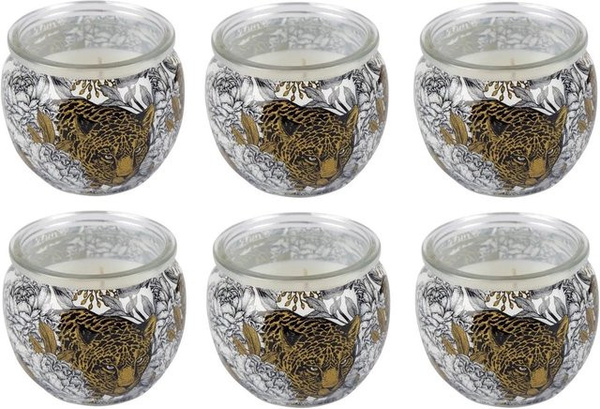 HS Candle Duftkerzen Motiv 6er Pack Anti Tabak Ginger Lime in Grün und Multicolour