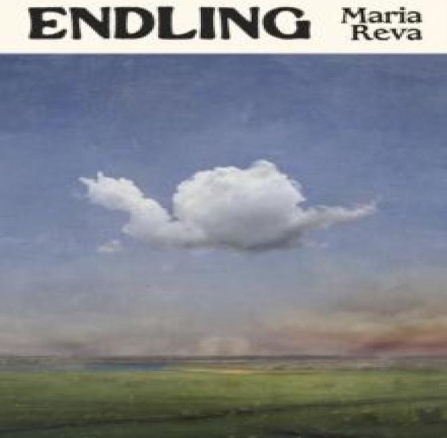 Endling von Maria Reva, Hardcover - Bild 1