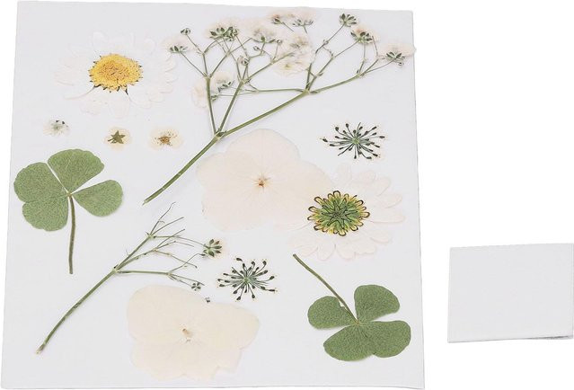 Wosawe DIY Handwerk Set mit getrockneten gepressten Blumen in Weiß und Multicolour für Lesezeichen und Handyhüllen - Bild 1