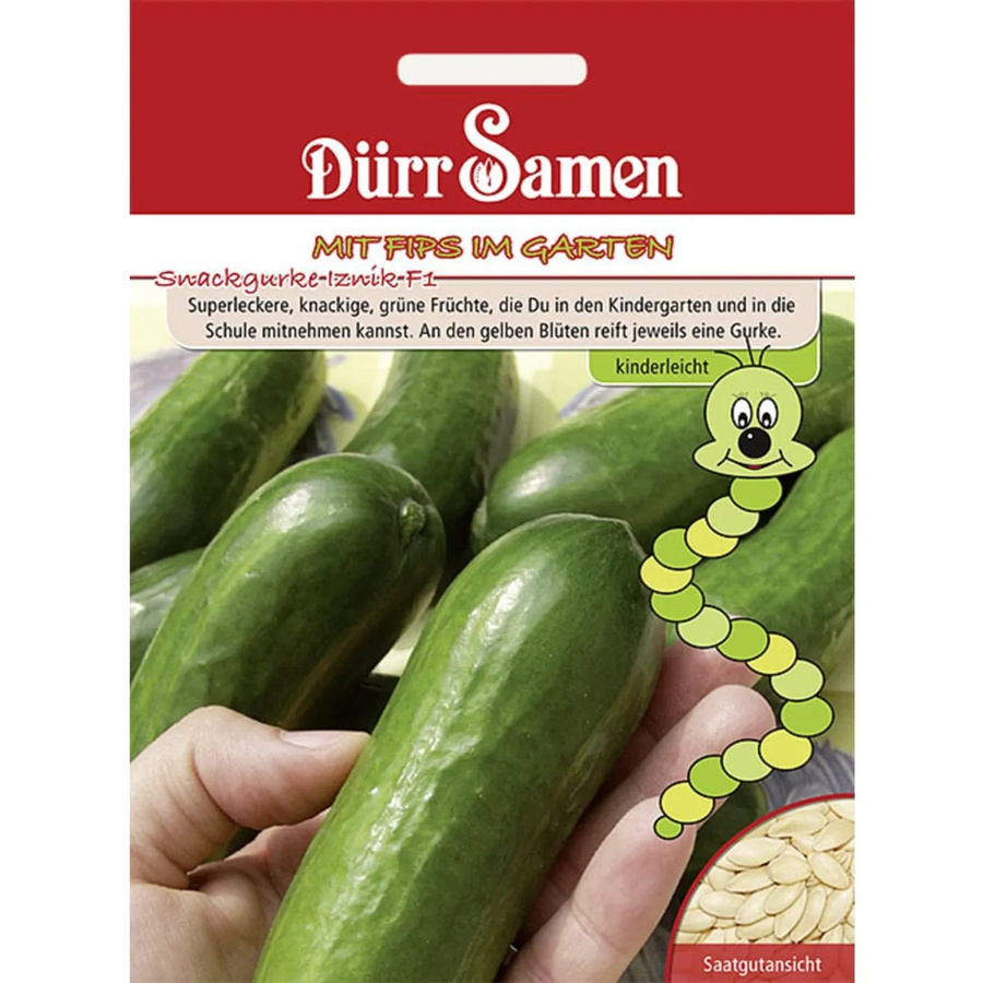 Dürr Snackgurken Iznik F1 Kindersorte Saatgut - Bild 2