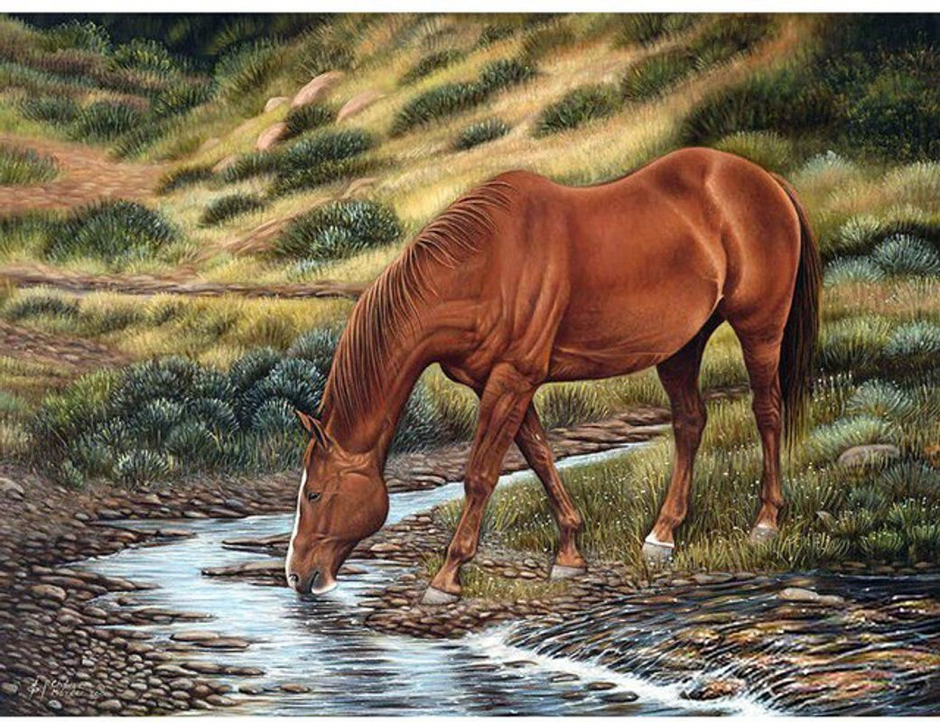 FIYO Diamond Painting Pferd Motiv als Malset mit Strasssteinen, mehrfarbig, B/H: 20 x 30 cm - Bild 1