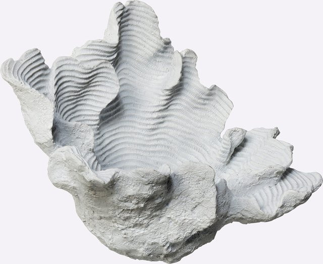 Wanddeko Muschelform von Heine Home in Weiß aus Polyresin, B/T/H: 23,0 x 18,0 x 31,5 cm - Bild 1