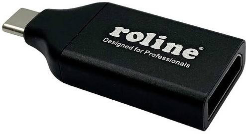 ROLINE Display Adapter USB Typ C auf DisplayPort v1.2 in Schwarz - Bild 1