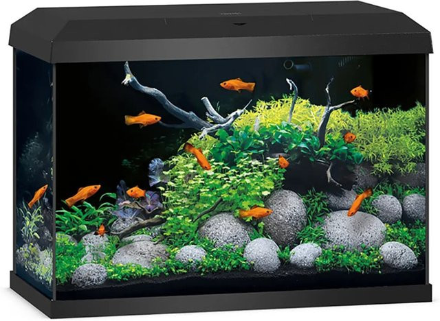 Juwel Aquarium-Set Primo 70 LED 2.0 in Schwarz - Bild 1