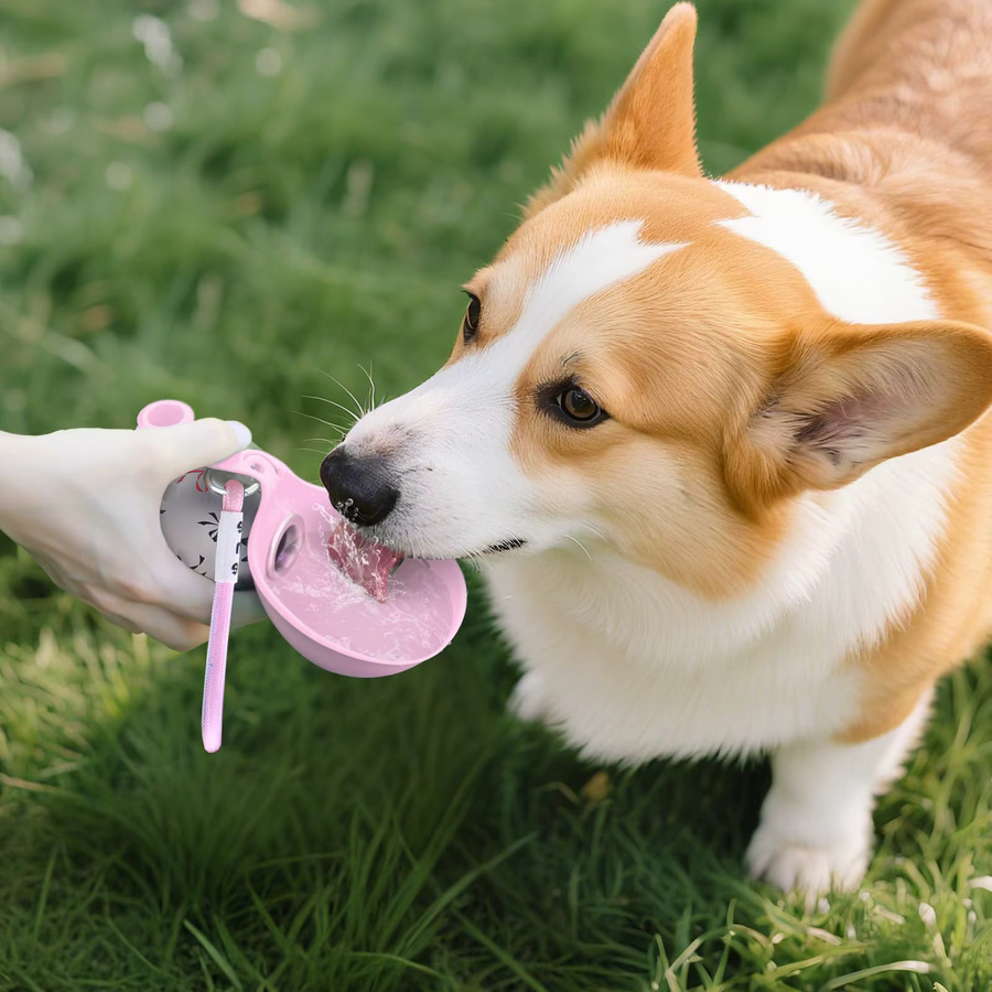 SUPERDESIGN 2-in-1 Tragbare Hundewasserflasche für Kleine Hunde aus Edelstahl und Silikon in Blau - Bild 2