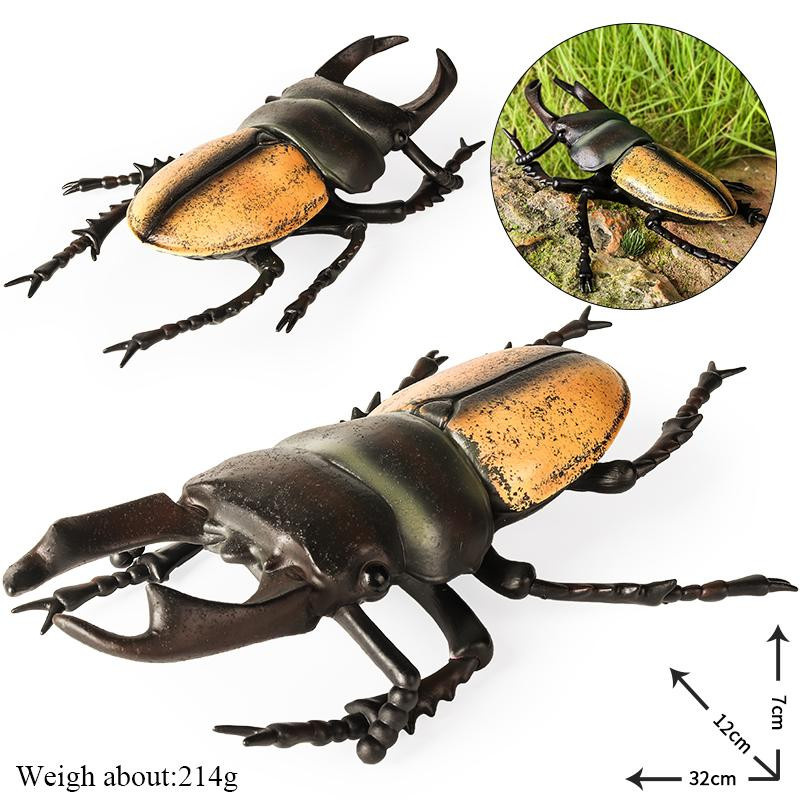 Oenux Insektenmodell Coleoptera Lucanidae Käfer Dynastes Hercules Actionfigur Lernspielzeug für Kinder 3-6 Jahre - Bild 4
