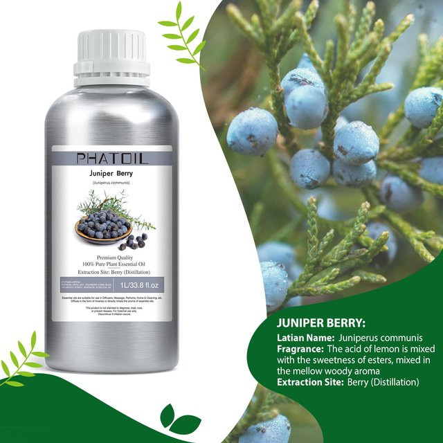 PHATOIL Ätherische Öle Juniper Berry, 1000 ml - Bild 1