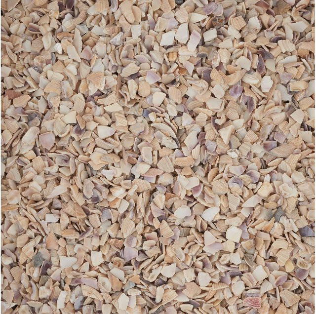 Eurosand Muschelgranulat Natur in Elfenbein für maritimen Stil - Bild 1