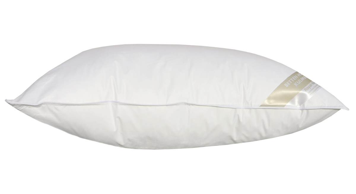 Betten Hofmann Basic Allergiker Kopfkissen aus Polyester in Weiß, B/H: 50 x 75 cm - Bild 1