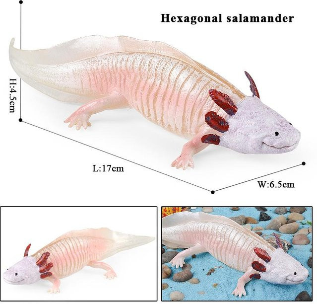 Oenux Molch Salamander Cryptobranchoidea Actionfigur ab 3-6 Jahre - Bild 1
