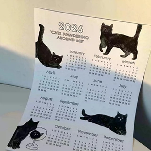 Katzen-Kalender 2026 Monatsplaner in Weiß mit englischem Text für Büro und Zuhause - Bild 1
