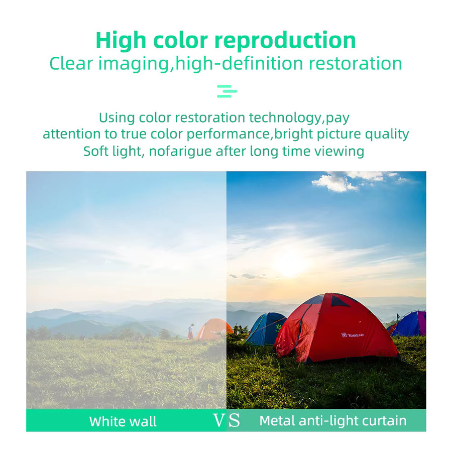 LEJIADA Projektionswand 4K UHD Anti-Licht Wandbehang für Wohnzimmer und Schlafzimmer 30-100 Zoll - Bild 3