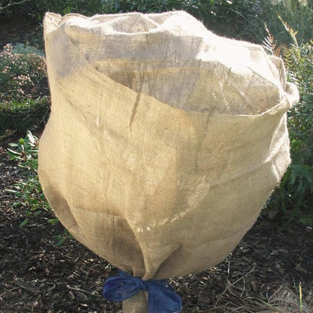 SIENA GARDEN Jute-Schutzvlies in Beige und Braun zur Winterprotektion und als Pflanzenschutz - Bild 1
