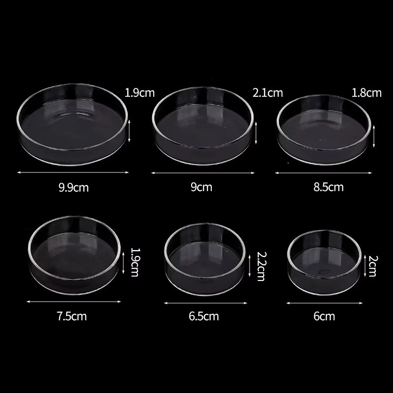 JIECARE Transparenter Glas Futternapf für Aquarium und Reptilien, Farbe: Transparent - Bild 2