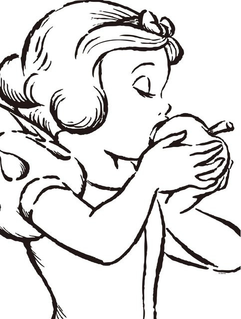 Komar Wandbild Snow White in Weiß, Paper Poster aus Qualitätsvlies, Breite: 30 cm, Höhe: 40 cm - Bild 1