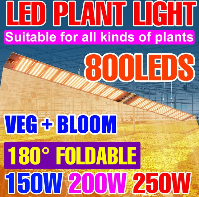 Faltbare LED-Vollspektrum-Wachstumslampe mit UV/IR Quantum Board für Zimmerpflanzen, Gewächshaus und Hydroponik in Weiß - Bild 1