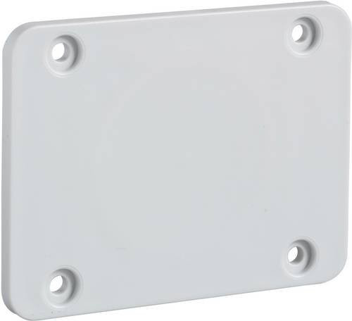 Schneider Electric Gehäusezubehör Platte aus Polymer in Lichtgrau RAL 7035, B/H: 65 x 85 mm - Bild 1