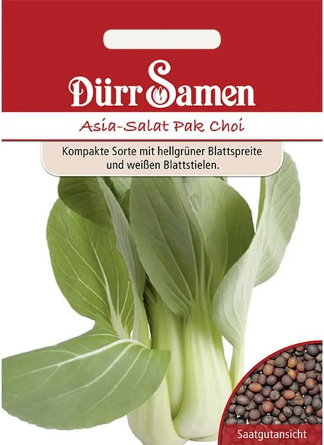 Dürr Samen Asia-Salat Pak Choi Saatgut - Bild 1