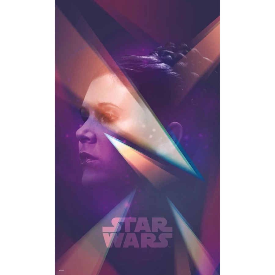 Komar Fototapete Vlies Star Wars Female Leia, Multicolor, Breite: 120 cm, Höhe: 200 cm - Bild 2