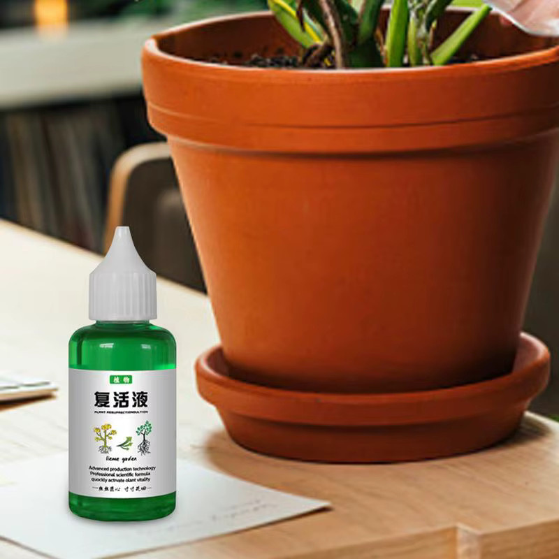 Pflanzenauferstehung Flüssiger Pflanzendünger als Nährstofflösung für Blumen, Obst und Gemüse - Bild 2