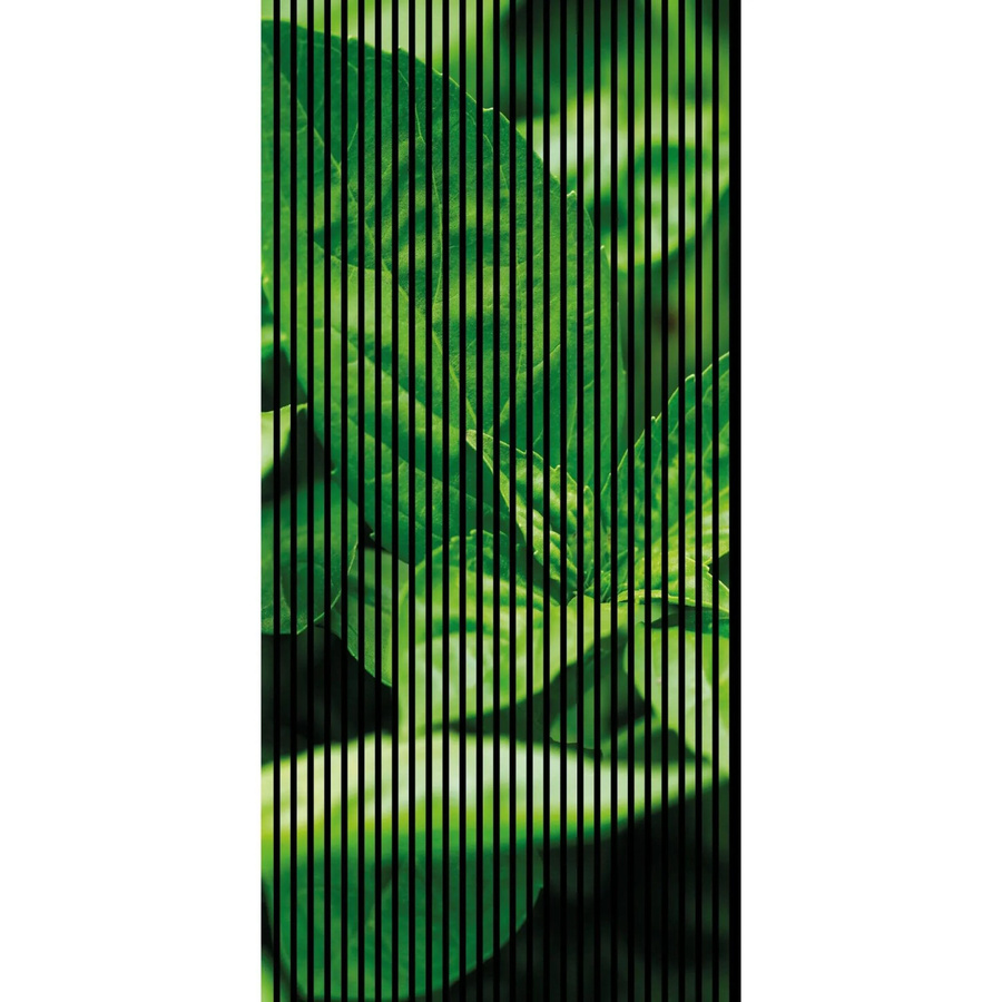 FN Acustico Akustikplatte Basilikum in Bunt, selbstklebend, Material PET und MDF, H x B x T: 2.400 x 1.133 x 19 mm - Bild 2