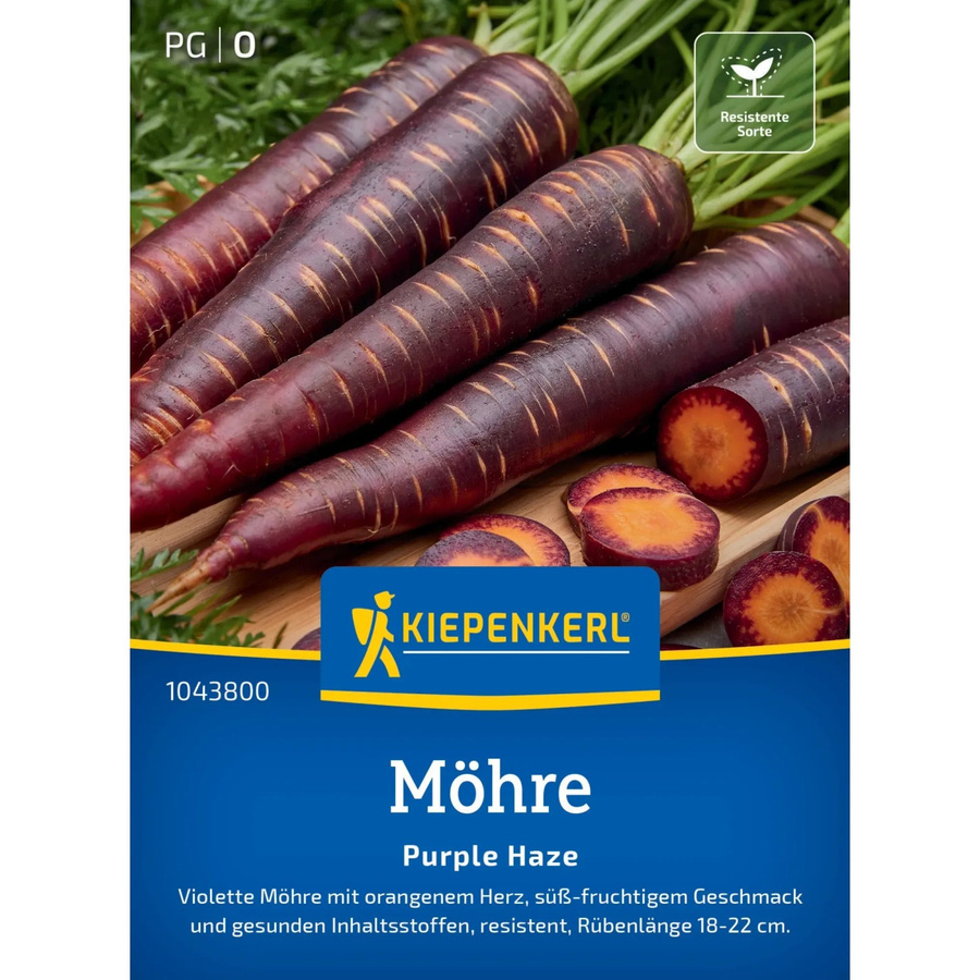 Kiepenkerl Profi-Line Möhre Purple Haze Gemüse - Bild 2