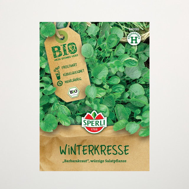 Sperli Winterkresse Samen BIO - Bild 1