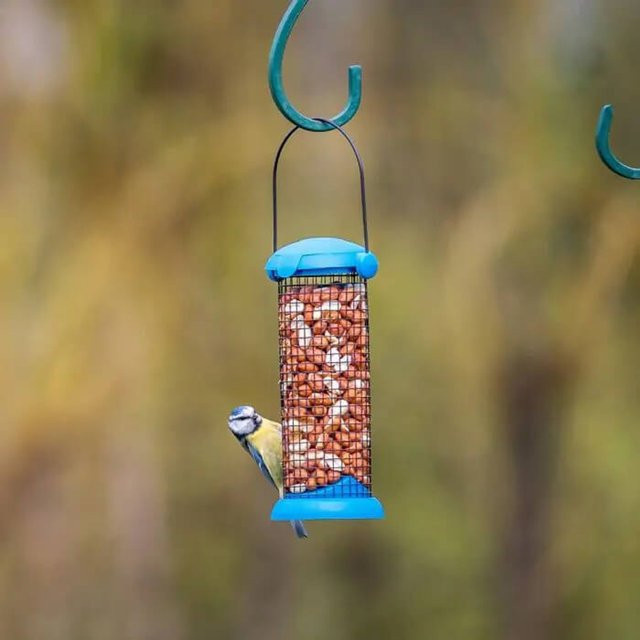 Erdnußsäule EasyFlip von CJ Wildlife in Blau - Bild 1
