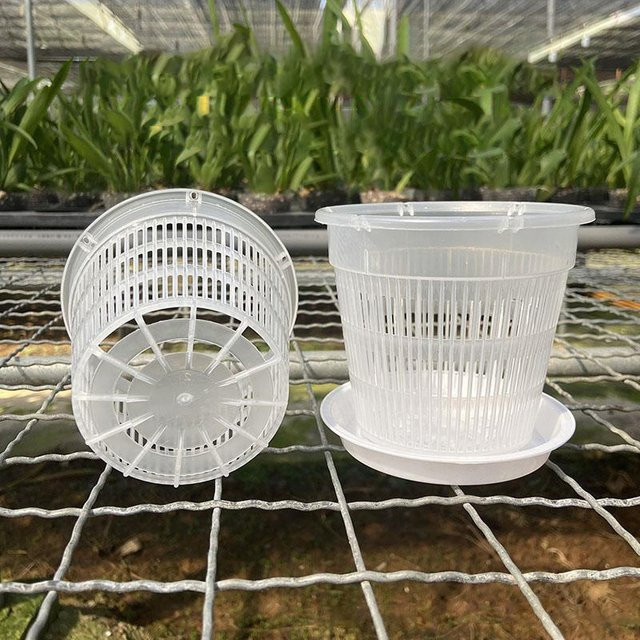 Transparenter Mesh Blumentopf aus Kunststoff für Orchideen und Garten, B/T/H: 11 x 14 cm - Bild 1