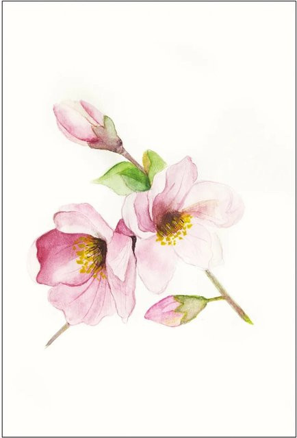 Komar Wandbild Magnolia Breathe Paper Poster, Breite: 30 cm, Höhe: 40 cm - Bild 1