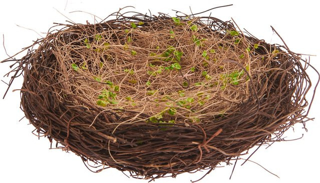 Rico Design Naturnest mit Gras in Braun, Durchmesser: 20 cm - Bild 1