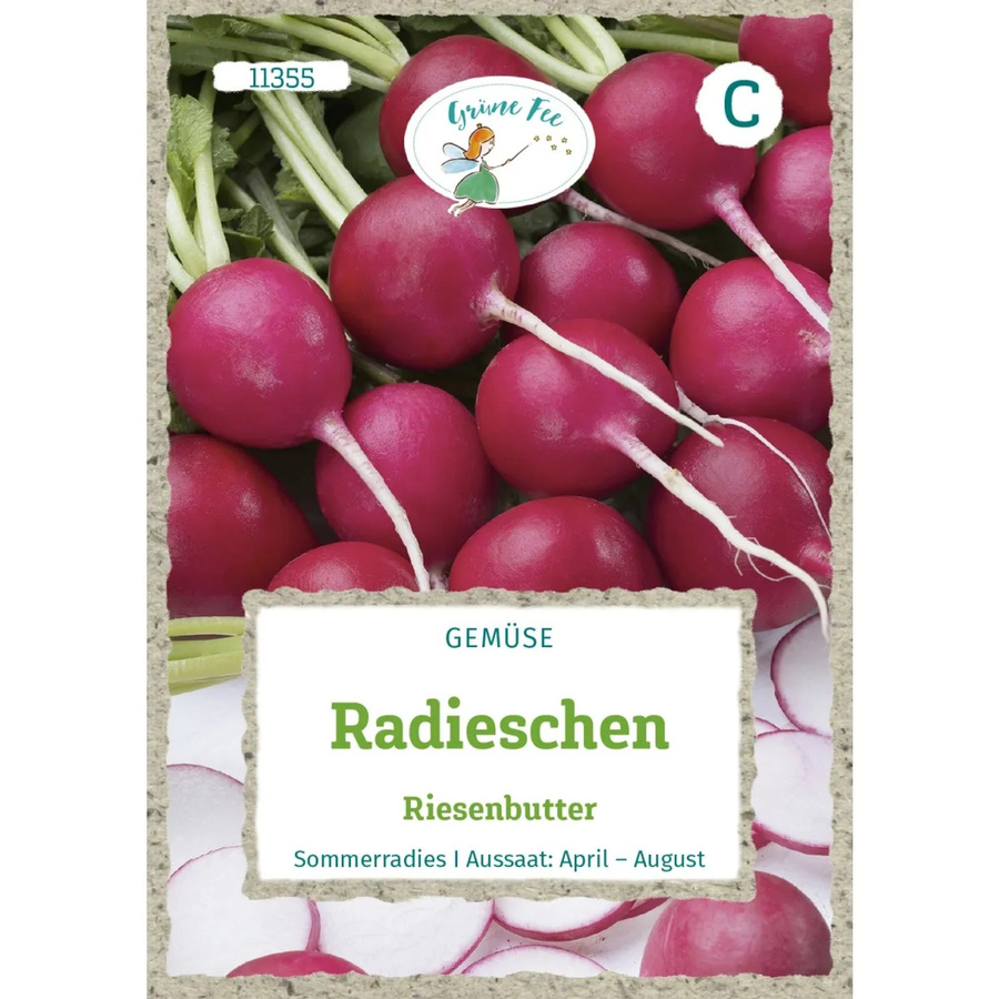 Grüne Fee Radieschen Riesenbutter Saatgut für Sommer und Herbst - Bild 2