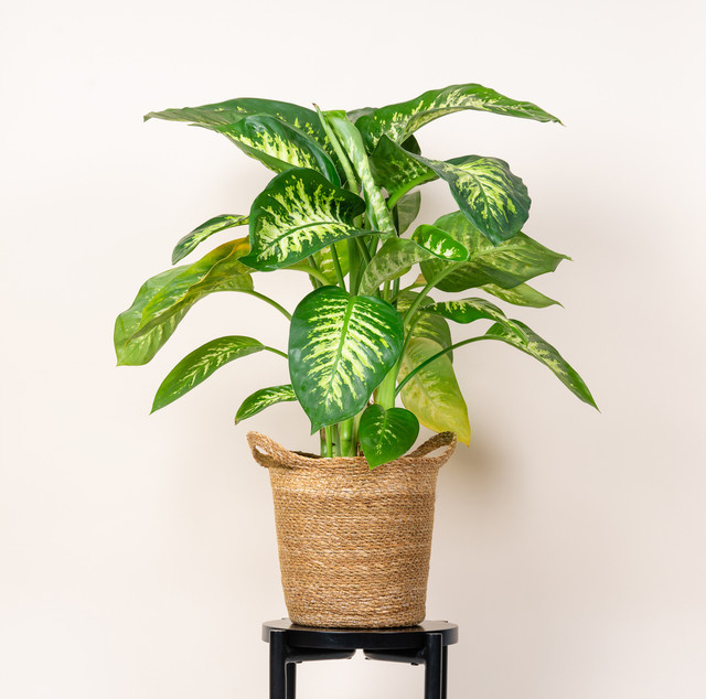 Seegraskorb mit Henkel von BLUME2000 in Beige, Durchmesser: 24 cm - Bild 1