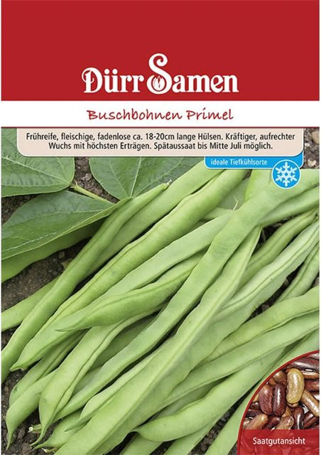 Dürr Buschbohnen Primel Saatgut 250 g - Bild 1