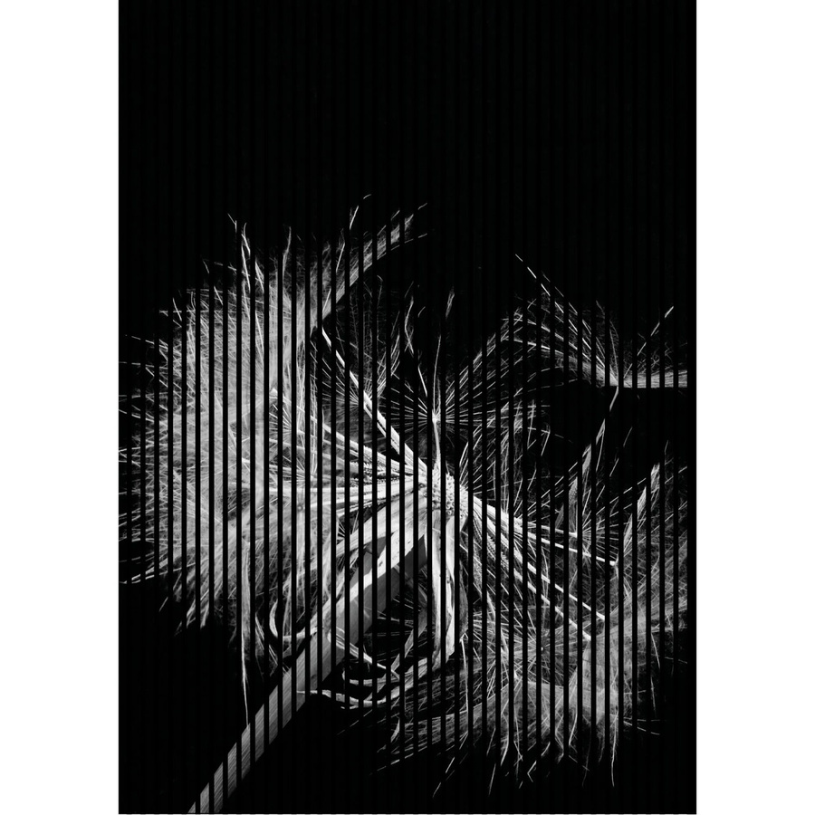 FN Acustico Akustikplatte Pusteblume in Bunt aus PET und MDF, H x B x T: 2.400 x 1.693 x 19 mm - Bild 2