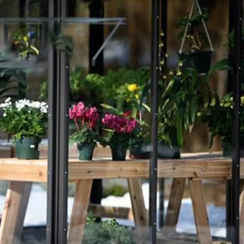 Regenfestes Glasgewächshaus für den Garten und die Terrasse in Schwarz mit Giebeldach - Bild 4