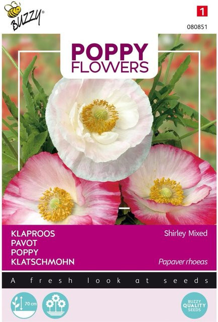 Arborix Klatschmohn Shirley Einfach Mischung Samen für den Garten, 1 g - Bild 1