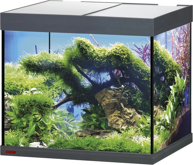 Eheim Aquarium Vivaline LED 150 Glasbecken mit Abdeckung in Anthrazit - Bild 1