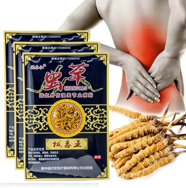 HealthLucky Cordyceps Schmerzlinderung Pflaster, 8 Stück - Bild 1
