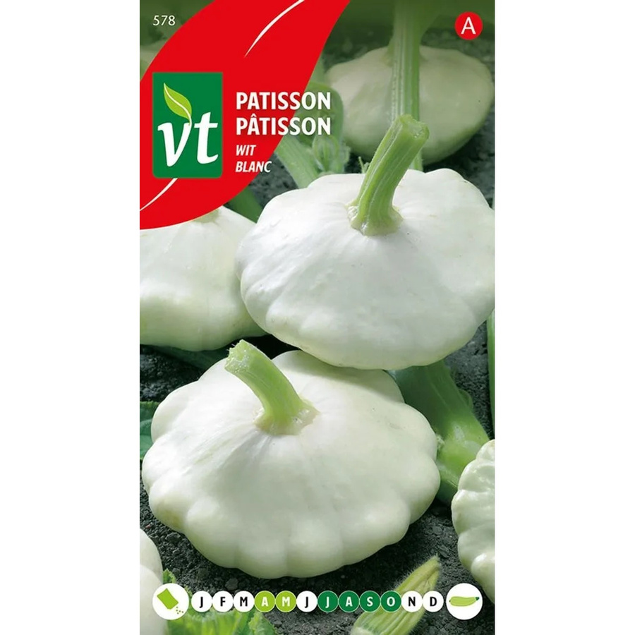 Arborix Pastinake Saatgut, 1,5 g - Bild 2