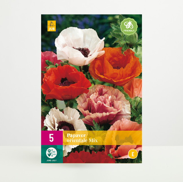 BLUME2000 Türkischer Mohn Mix mit 5 Wurzeln für deinen Garten - Bild 1
