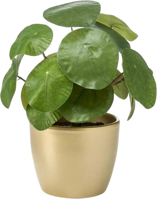 Künstlicher Geldbaum Leni von Aplanta, Tischdeko Höhe: 22 cm - Bild 1