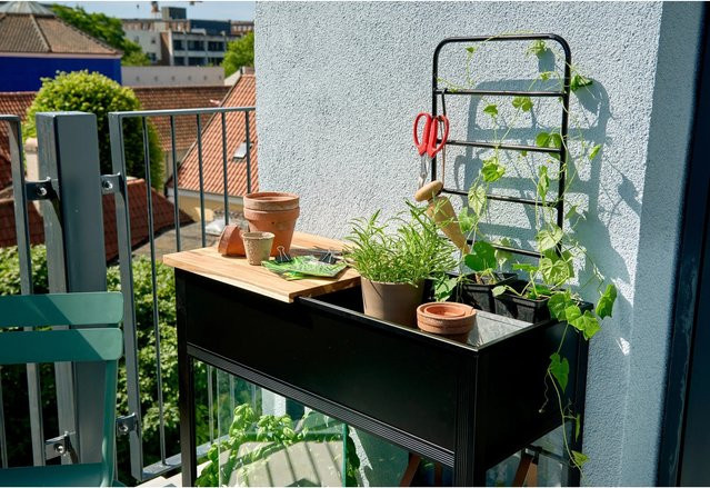 Juliana Gewächshaus Urban Vertical in Schwarz mit 3 mm Sicherheitsglas, B/T: 33 x 71 cm - Bild 1