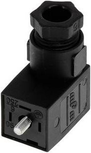 Molex DIN 43650 Steckverbinder mit 2 Polen in Schwarz - Bild 1